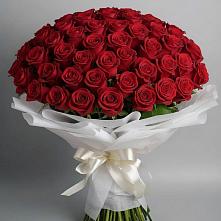 Букет 101 Красная роза Блэк Мэджик в Чонтауле