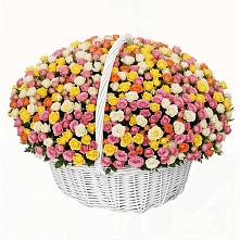 Премиум букет из: Розы в Чонтауле