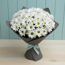 Букет цветов из:  Хризантемы в Чонтауле
