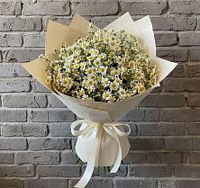 Букет цветов из:  Ромашки в Чонтауле