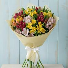 Букет цветов из:  Альстромерии в Чонтауле