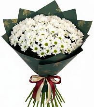 Букет цветов из:  Хризантемы в Чонтауле