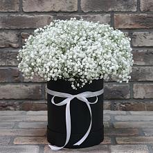Цветочная композиция из Гипсофила в шляпной коробке #REPLACE_PRED# Чонтауле