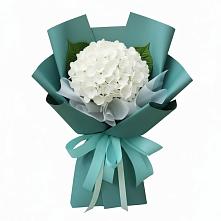 Букет цветов из:  Гортензия в Чонтауле